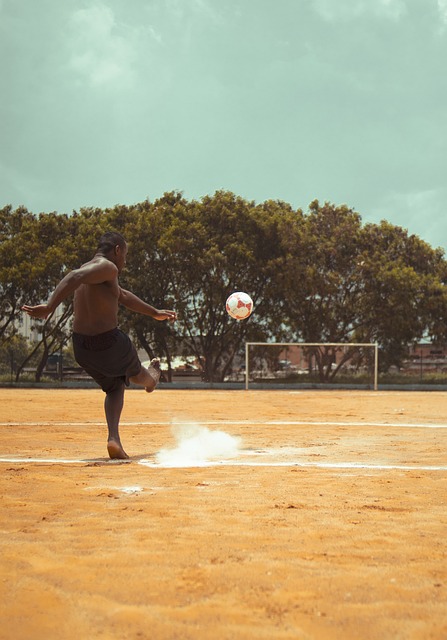 主场观众人 主场观众人