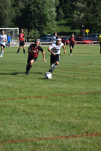 精神家园 精神家园