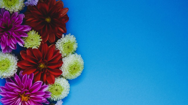 广泛讨论 广泛讨论