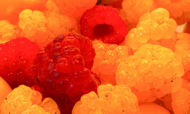 他们迫切地 他们迫切地