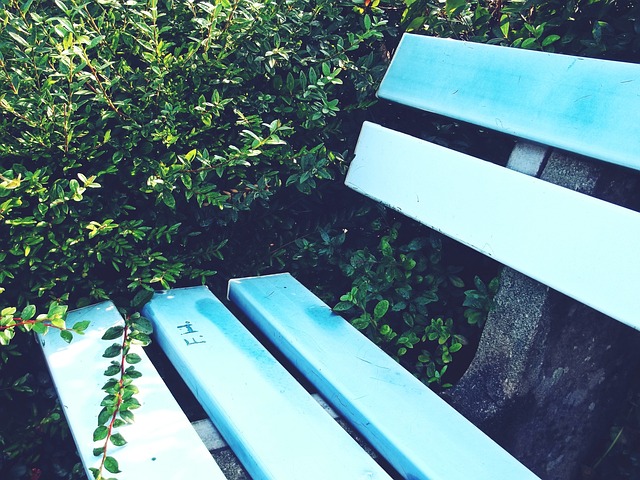 这种可能性 这种可能性